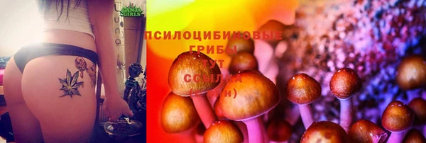 а пвп мука Горно-Алтайск