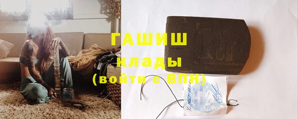 прущие грибы Горняк