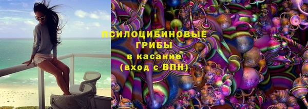 спиды Гусь-Хрустальный
