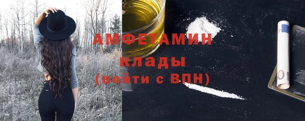 прущие грибы Горняк