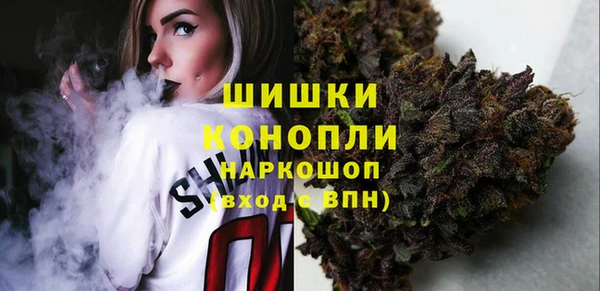 прущие грибы Горняк