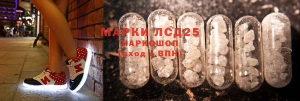 прущие грибы Горняк