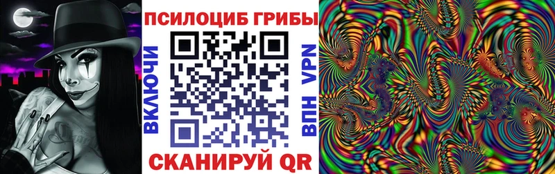 blacksprut ТОР  Юхнов  Псилоцибиновые грибы GOLDEN TEACHER 